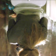 A hidden camera mounted in a public restroom ceiling records an unsuspecting blonde girl taking a never-ending piss. She farts repeatedly, shits, wipes her ass and leaves the toilet without flushing. About 5 minutes.